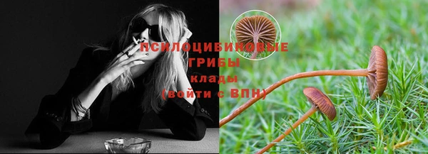 прущий лед Абаза