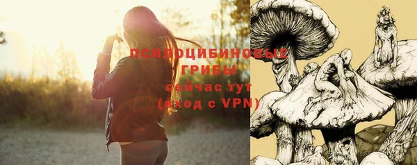 прущий лед Абаза