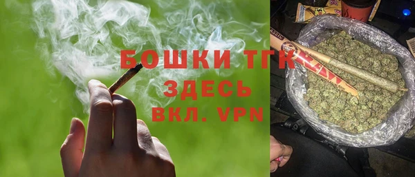 PSILOCYBIN Осташков